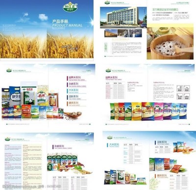 水产品制品之美 一本视觉与质感的食品手册